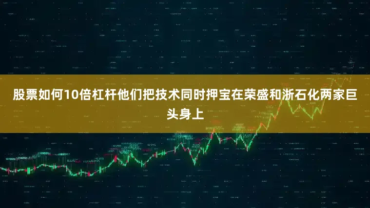 股票如何10倍杠杆他们把技术同时押宝在荣盛和浙石化两家巨头身上