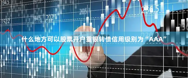 什么地方可以股票开户重银转债信用级别为“AAA”